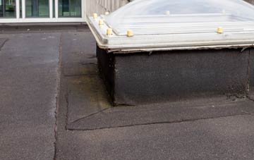 disadvantages of Jarrow flat roofs