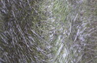 Jarrow fibreglass roof work